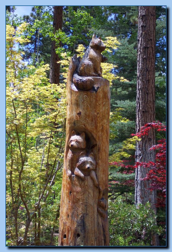 2-25 vertical raccoon collage-archive